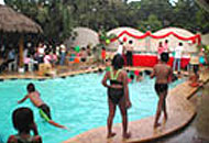 Dao Diamond Bed & Breakfast Hotel - Bohol Islands Philippines