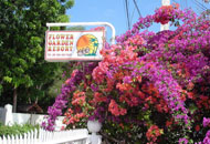 Flower Garden Resort - Bohol Islands Philippines