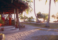 Polaris Beach & Dive Resort - Bohol Islands Philippines