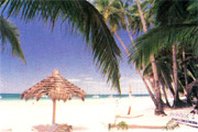 Hotelview: Coco Mangas Hotel Beach Resort 