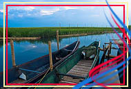 Laguna De Bay Laguna Islands Philippines