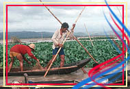 Laguna De Bay Laguna Islands Philippines