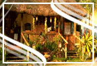 Nurture Tropical Spa and Cafe - Tagaytay Accommodations - Tagaytay Islands Philippines