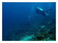 Batangas Dive Spots