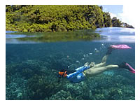 Pandan Island Dive Site