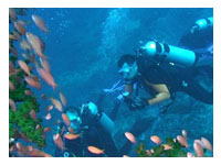 Puerto Galera Dive Sites