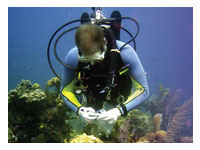 Samal Island Dive Spots Davao