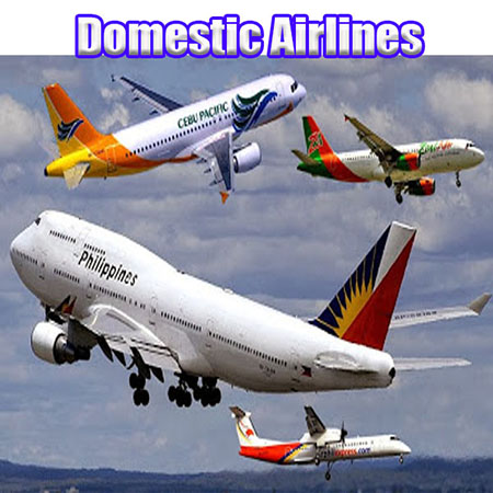 Domestic Airlines