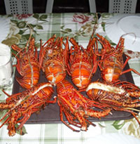 Tequero Adventure Resort - Guimaras Islands Philippines