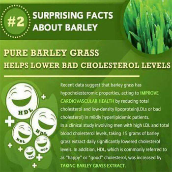 Pure Barley Grass Helps Lower Blood Cholesterol