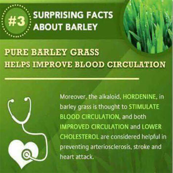 Pure Barley Grass Helps Improve Blood Circulation