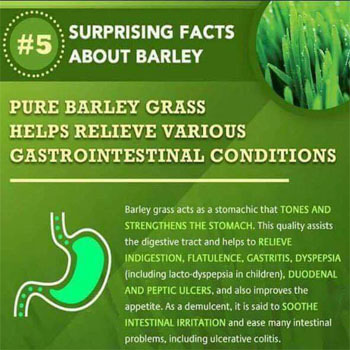 Pure Barley Grass Helps Relieve Various Gastro Intestinal Conditions