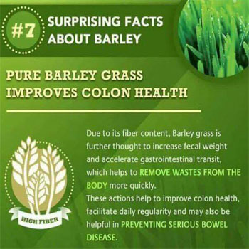 Pure Barley Grass Improves Colon Health