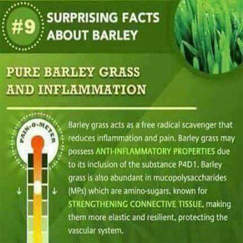 Pure Barley Grass and Inflammation