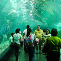 Manila Ocean Park Tour - Pasay City Islands Philippines
