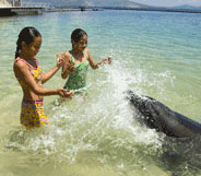Subic Dolphins and Whales Encounter - Whales Islands Philippines