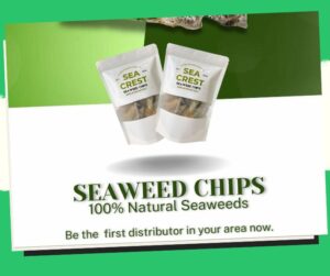 Seaweed Chips