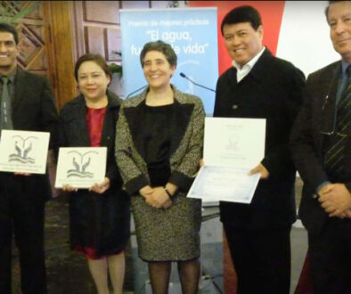 The Villar Foundations